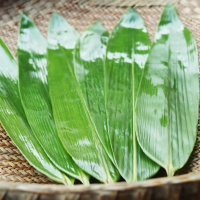 粽子叶新鲜粽叶真空竹叶天然大粽叶包粽子叶粽叶子干粽叶箬叶 鲜粽叶[宽7-9cm] 100片[送绳][买二送一]