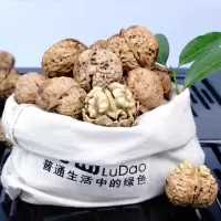 纸皮核桃 薄皮新货丑核桃 坚果零食批发 纸皮核桃3斤送夹子