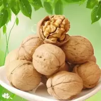 薄皮核桃可剥核桃仁坚果1-5斤多规格薄皮生核桃 3斤185纸皮核桃