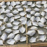 8成干 鲳鱼干海鲜干货海鱼银鲳扁平鱼海鲜类海产品腌制咸鱼干 鲳鱼干(1斤约25条) 1000g