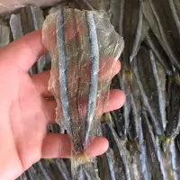 烧烤专用 马步鱼干500g棒棒鱼针鱼片海鲜干货饭店用 10厘米约70-80条