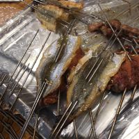 烧烤专用 马步鱼干500g棒棒鱼针鱼片海鲜干货饭店用 宽片11-13厘米约60-70条