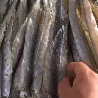 烧烤专用 马步鱼干500g棒棒鱼针鱼片海鲜干货饭店用 超大马步鱼30厘米约8-11条