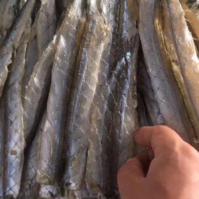 烧烤专用 马步鱼干500g棒棒鱼针鱼片海鲜干货饭店用 超大马步鱼30厘米约8-11条