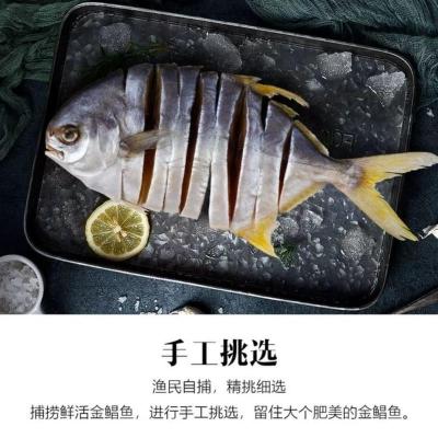 正宗阳江特产 自晒深海新鲜金鲳鱼干淡口咸鱼水产干货真空包装 200克-235克 5条