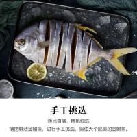 正宗阳江特产 自晒深海新鲜金鲳鱼干淡口咸鱼水产干货真空包装 250克-260克 2条