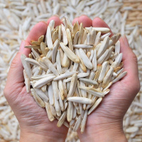 牙签瓜子牙签马牙葵花籽葵生瓜子白皮新货皮薄仁酥 新货(原味2斤加五香一斤)