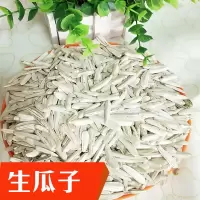 牙签瓜子牙签马牙葵花籽葵生瓜子白皮新货皮薄仁酥 新货生瓜子[500克]