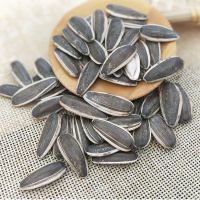 生瓜子新货葵花籽五原大粒生葵花瓜子零食 [超大粒2斤原味熟瓜子2袋]