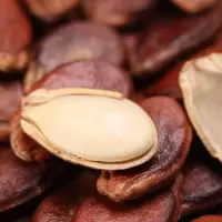 广西农家新货红瓜子西瓜子原味非水煮散装干晒生西瓜籽批发手剥壳 1000g