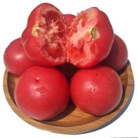 沙瓤自然熟西红柿番茄新鲜水果 儿童 蔬菜柿子 3斤精品装(双层网套+纸箱)