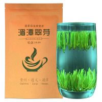 湄潭翠芽雀舌茶叶 新茶春茶贵州高山云雾毛尖茶明前清香型绿茶 100克 罐装