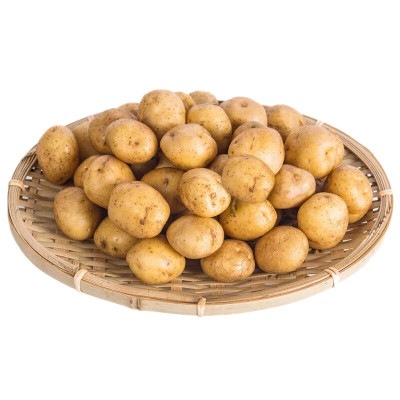 恩施小土豆 黄心马铃薯高山洋芋马尔科新鲜迷你小土豆 5kg 硬币到乒乓球大小