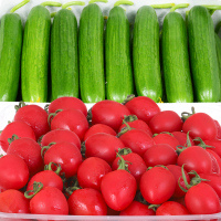 圣女果小黄瓜5斤混装新鲜水果番茄千禧西红柿子青瓜蔬菜