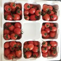 圣女果樱桃小番茄果农家小西红柿蔬菜新鲜水果 5斤小番茄