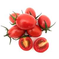 黄金圣女果小西红柿新鲜蔬菜樱桃小番茄非千禧小柿子 5斤红中果
