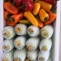 黄瓜新鲜水果拇指迷你小黄瓜 现发孕妇蔬菜青瓜生吃 玉女果迷你甜椒4斤组合[顺丰]