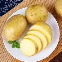 高原新鲜现挖红皮黄心土豆洋芋马铃薯老品种农家种 黄皮黄心(大果200克以上)5斤装
