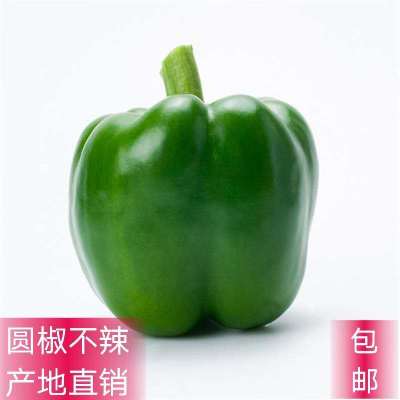 新鲜蔬菜农家自种 现发清甜辣椒青菜圆椒不辣厚皮肉多 5斤精品装