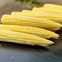 新鲜 小玉米笋嫩水果玉米宝宝辅食餐馆蔬菜 买5斤送5斤一箱约9.8斤