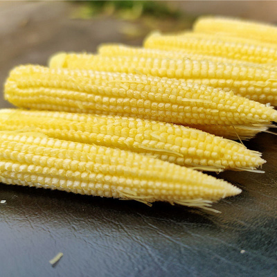 新鲜 小玉米笋嫩水果玉米宝宝辅食餐馆蔬菜 买5斤送5斤一箱约9.8斤