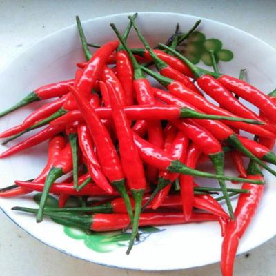 新鲜辣椒小米椒超辣土红椒朝天椒小尖椒 新鲜小米辣(特辣) 2斤装