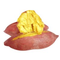 正宗板栗红薯新鲜番薯地瓜红薯蔬菜新鲜黄心红薯 5斤中薯精选装