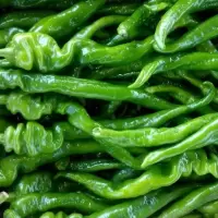 辣椒新鲜螺丝椒青椒农家蔬菜特辣带箱5斤装自种虎皮青椒