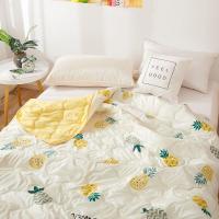 [3折]被子空调被夏凉被夏洗棉薄被冷气被芯单双人儿童宿舍 空调被-菠萝 200*230cm