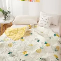 [3折]被子空调被夏凉被夏天水洗棉薄被冷气被芯单双人儿童宿舍 空调被-菠萝 200*230cm
