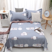 床单单件斜纹 单人双人多规格四季通用