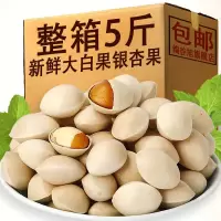新鲜带壳白果银杏果2020年新货大颗干果整箱散装坚果特产非特PD