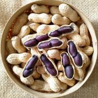 富硒带壳黑花生[生熟可选]黑珍珠紫皮花生农家自种黑花生米种子