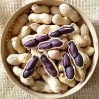 富硒带壳黑花生[生熟可选]黑珍珠紫皮花生农家自种黑花生米种子