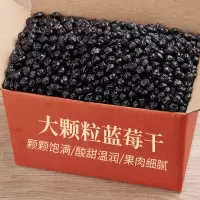 湛航 [大颗粒]大兴安岭蓝莓干味东北蓝梅干果孕妇零食蜜饯果干250克