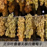 湛航 正宗新疆特产葡萄干批发超大颗粒无核白免洗葡萄干