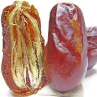 湛航 迪拜黑椰枣伊朗椰枣阿联酋蜜枣伊拉克黄椰枣特产大颗粒级