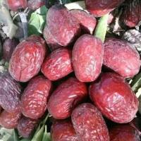 湛航 新枣正宗若羌灰枣批发原生态未清洗吊干红枣