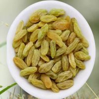 湛航 葡萄干无核白大颗粒无籽提子干果零食袋装货