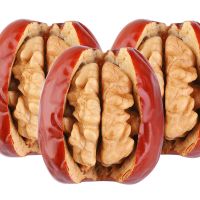 湛航 红枣夹核桃夹心枣 大枣加核桃仁独立包装休闲红枣零食