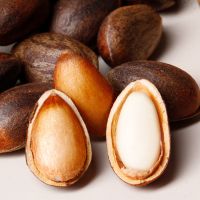 湛航 原味新鲜松子大颗粒落水松子孕妇坚果休闲零食散装批发