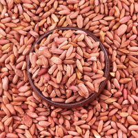 瘪花生米新鲜小粒花生仁农家甘甜养胃小秕子花生瘪花生