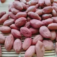 新货新大花生米生 特大颗粒红皮