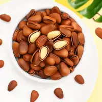 湛航 精选东北开口松子批发含罐 新货原味坚果儿童孕妇零食礼包