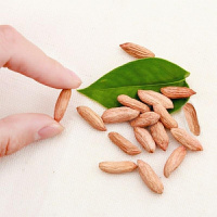 精选瘪花生米新鲜养胃干粒花生农家特产散装批发