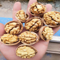 纸皮核桃薄皮核桃2021新货185纸皮薄皮核桃零食