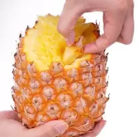 湛航 [爆甜多汁]金钻凤梨10斤手撕牛奶香水凤梨1-10斤新鲜水果菠萝