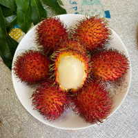 湛航 [精选]红毛丹新鲜毛荔枝 毛丹热带特产毛丹果