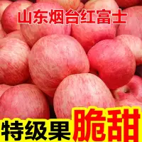 湛航 正宗红富士苹果脆甜新鲜水果批发整箱 丑平果