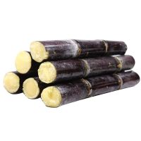 湛航 黑皮甘蔗新鲜甘蔗现砍现发农家甘蔗新鲜应季水果